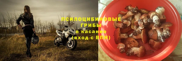 бутират Алексин